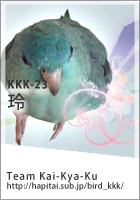 kkk140_200.jpg