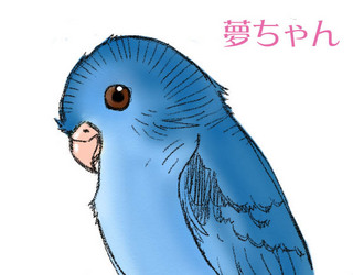 Yumechan.jpg