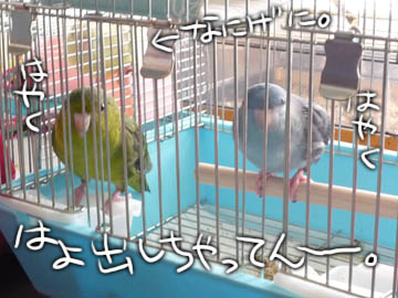cagein.jpg