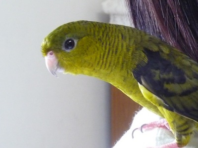 miru.jpg