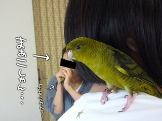 mirumaako.jpg