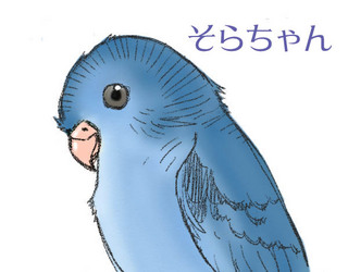 sorachan.jpg